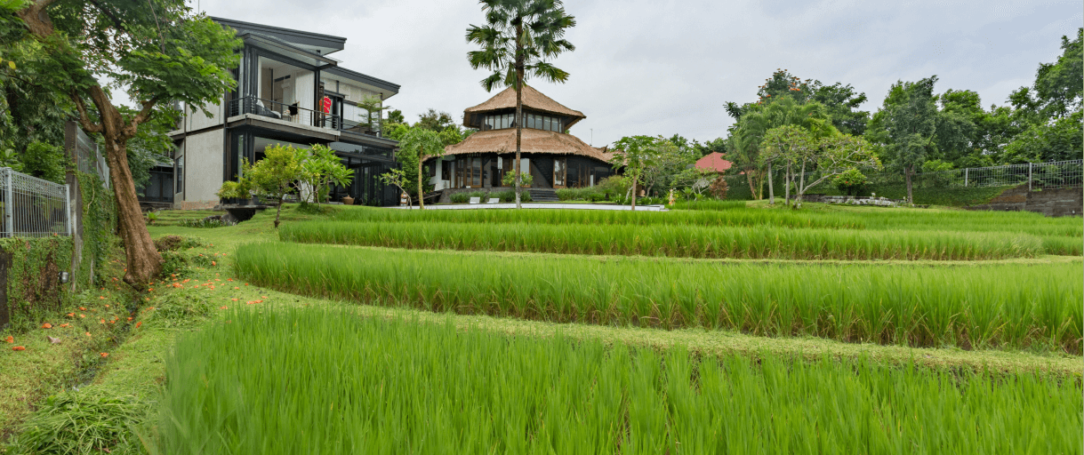 blog-banner